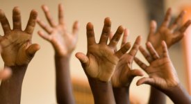 Students Raising Hands Photo