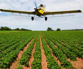 Crop Duster Applying Fertilizer to Farm Crops Photo