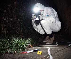 Crime Scene Photographer Taking Picture at Crime Scene