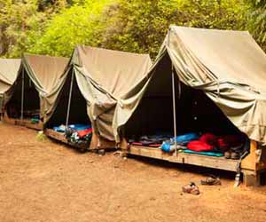 Tent Camping at Summer Camp in California