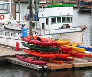 Sea Kayacking Tours in Seward Alaska