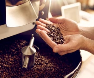 Coffee roaster with beans in hand next to roasting machine