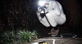 Crime Scene Photograper Taking Picture at Murder Scene