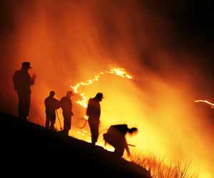 Forest Fighting Smokejumpers working on a Fire in Northern California