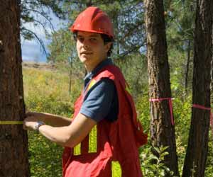 Forestation Worker Tagging Trees