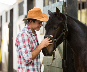 Man with a horse in the stables