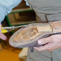 Cobblers Create and Repair all Forms of Shoes