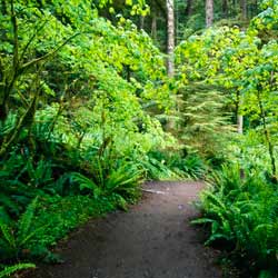 Trail Building can be a Rewarding and Fulfilling Experience