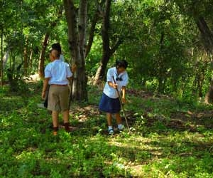 Volunteering in the Forestry Sector is Highly Valued