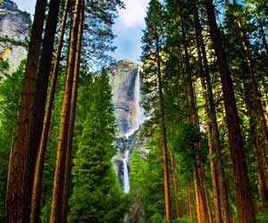 Yosemite National Park is One of the Most Famous Parks in the U.S.