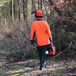 The U.S. National Forest Volunteer Program was Created in 1972