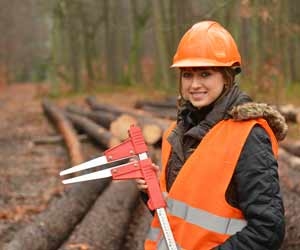 Forestry Aids and Technicians Gather Data to Determine the Health of the Forest