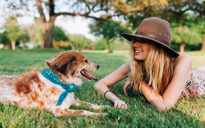 Dog Walker Playing with Dog