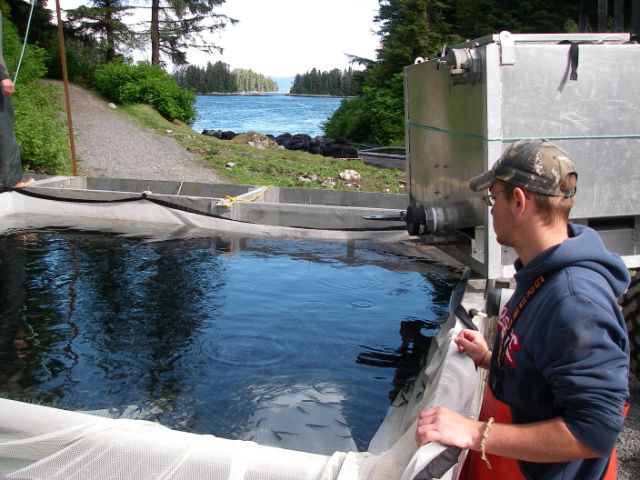 Fish Farm Rearing Pool